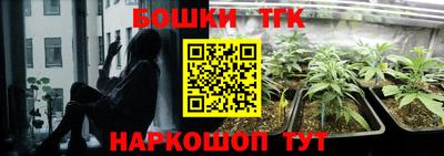 ECSTASY Малгобек