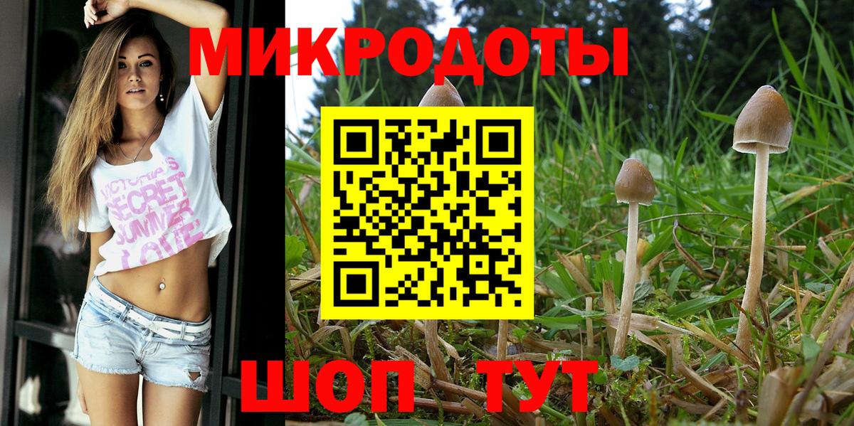 Галлюциногенные грибы мухоморы Всеволожск