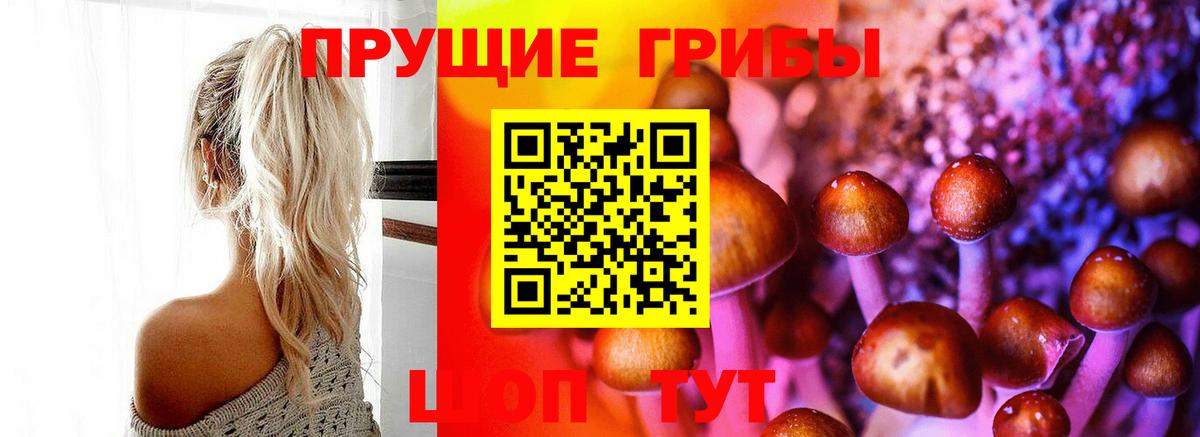 Псилоцибиновые грибы Psilocybe  Вход с VPN  Галлюциногенные грибы прущие грибы  Всеволожск 